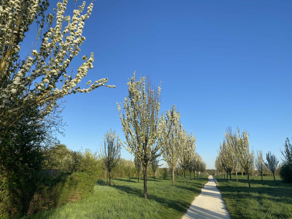 Le Plessis-Bouchard ©Sylvie Cartier